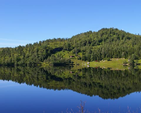 Nel Cuore dei Fiordi