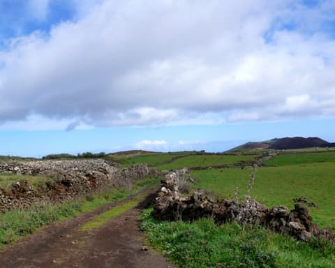 EL HIERRO EXCLUSIVO: NATURALEZA, SABORES Y MAGIA EN LA ISLA DEL FIN DEL MUNDO