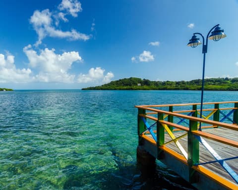 NORTEAMERICA - BRILLIANT LADY