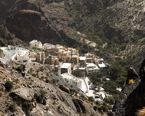 Fresh Mountain Escape