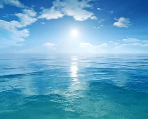 Navidad a bordo de MSC Fantasía