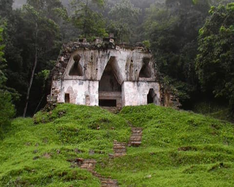 RUTA DE CAFÉ EN CHIAPAS 