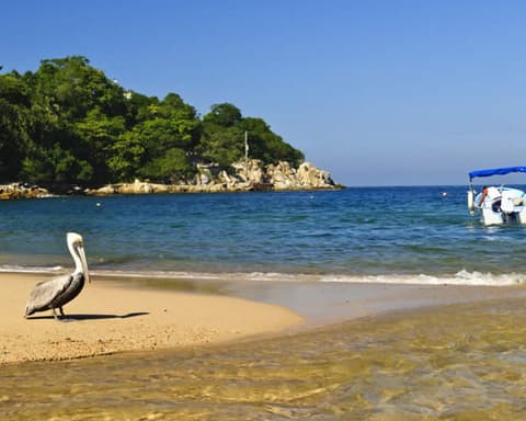  ¡VIVE NAYARIT A TU ALCANCE!