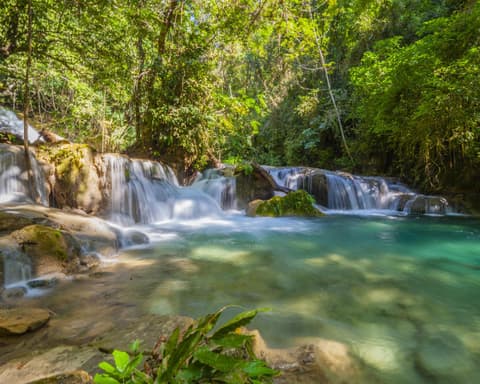 Bioluminiscencia y Playas de Oaxaca con vuelo