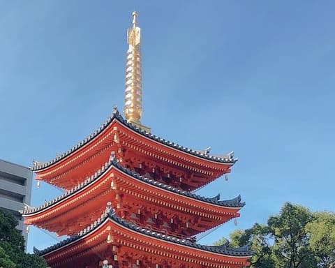 Nuevo Banzai Japón 2025-2026