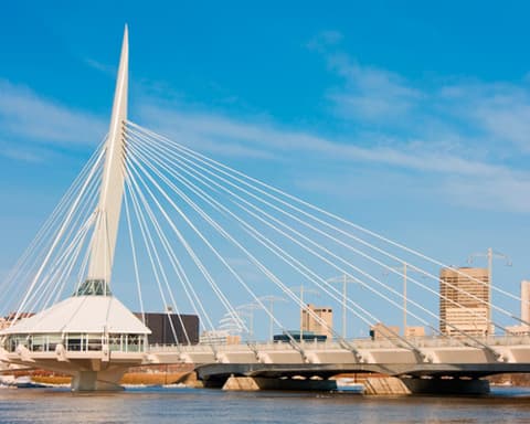 EL INSUERABLE TOUR DE OSOS POLARES 6 DIAS 