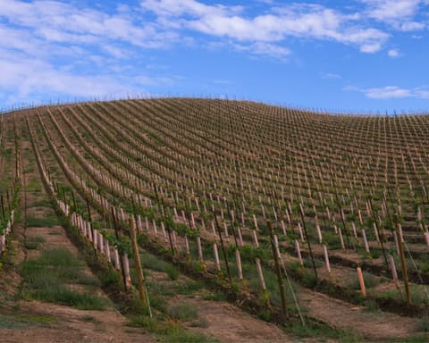 The Land of Endless Skies & National Parks - Standard