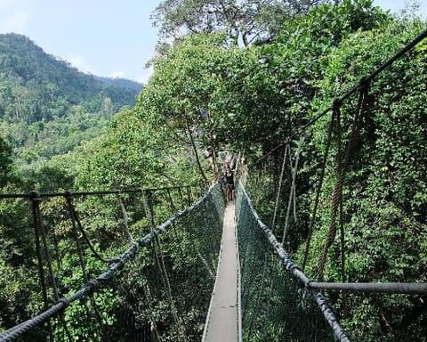 Singapore Tour & Mare Redang