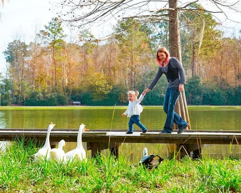 260010 - EUA: O Futebol leva-o a Houston
