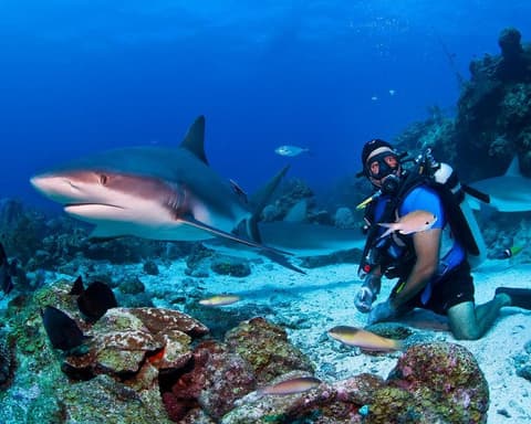 CARIBE - MSC WORLD AMERICA