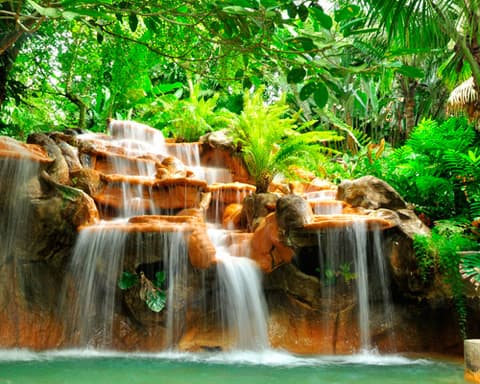 Fall in Love Forever - Costa Rica Honeymoon