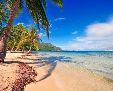 OFERTA Papeete, Moorea y Bora Bora