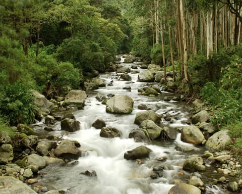 Gran Tour de Panamá y Colombia