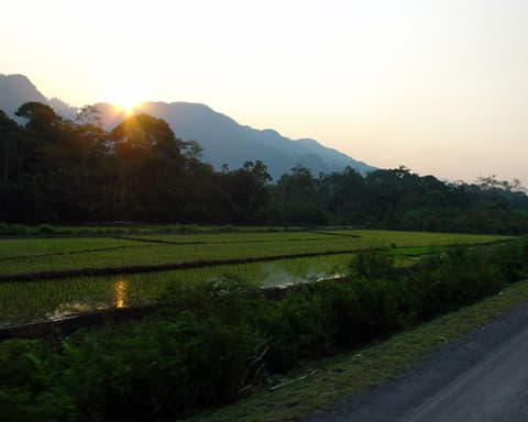 Paquete Tarapoto Vivencial 4D/3N