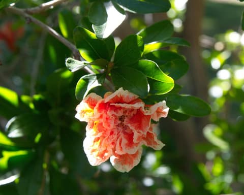 Puy du Fou y Toledo, tras las huellas del tiempo (desde Madrid)