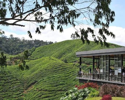 À la découverte de la Malaisie