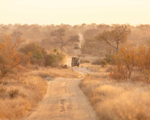 Mpumalanga Helicopter - Bell Jet Ranger Cascades & Canyon Spectacular  - 2 Hours - Max 4