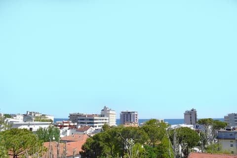 Hotel Ville De Paris, City View from Property