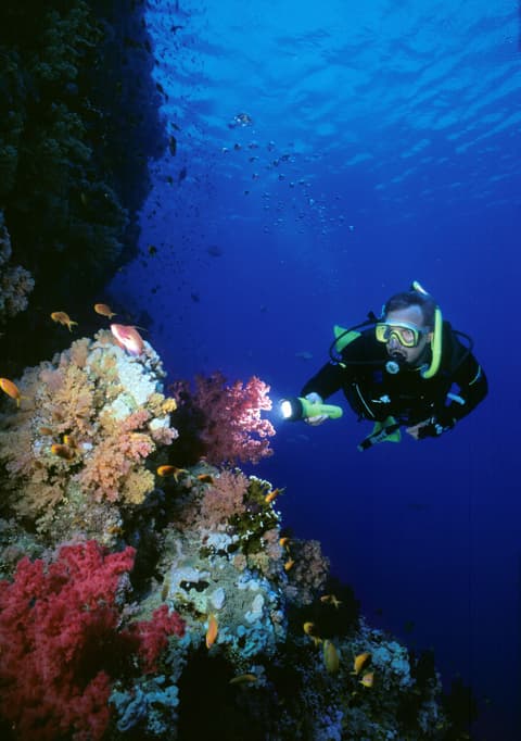 Extensión Mar Rojo: HURGHADA