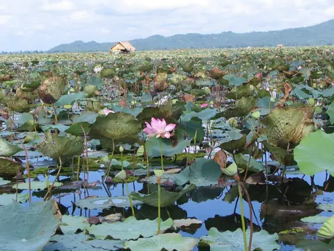 Paquete económico a Camboya, Tour privado