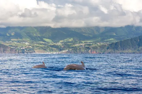 Best of São Miguel Island