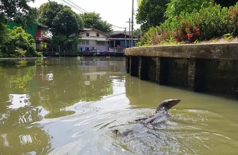 2 Nights in Bangkok with Klong Tour