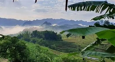 Vietnam Classico con Pu Luong