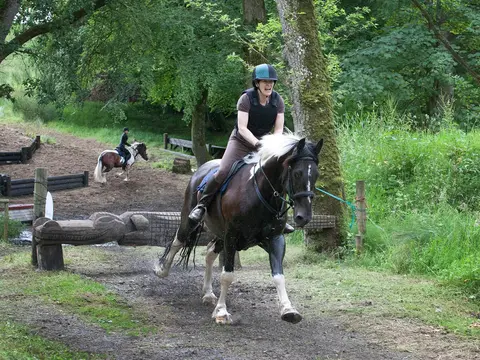 Irlanda: Monaghan - soggiorno equestre a castello leslie