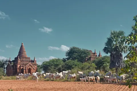 Enchanting Myanmar