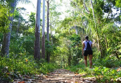 Brasil y Sus Encantos (Foz do Iguazú - Rio de Janeiro - Paraty)
