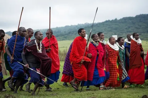 The Great Migration Melia
