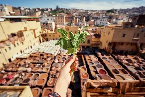 Fez Mística y Ciudad Roja con Extensión Desierto de Agafay