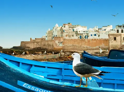 Citta Imperiali & Deserto Agafay da Casablanca