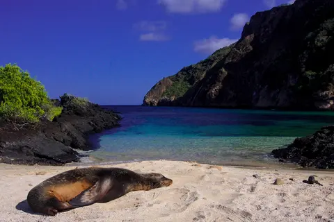 Galapagos Wildlife Cruise (Archipel I)