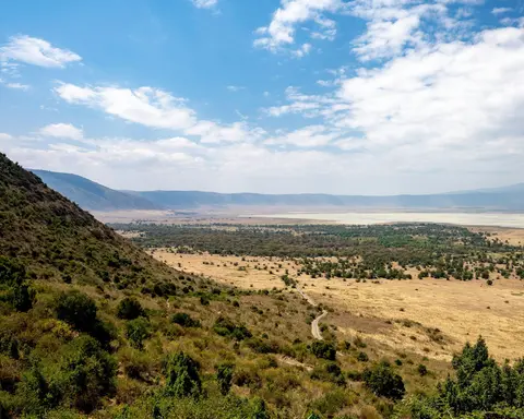 Safari "Tansania entdecken" 