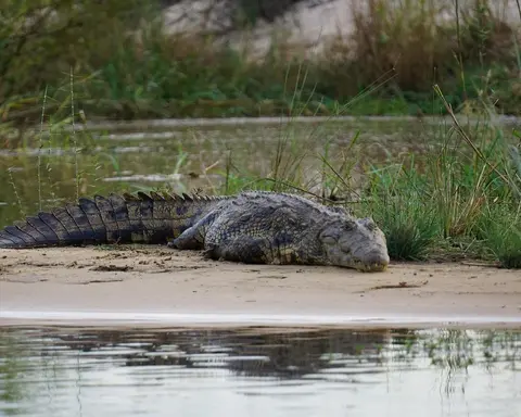 Safari "Etosha-Nationalpark bis Viktoriafälle"