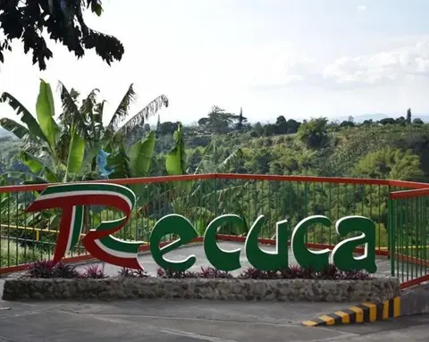 CLASSIC EJE CAFETERO 3N4D