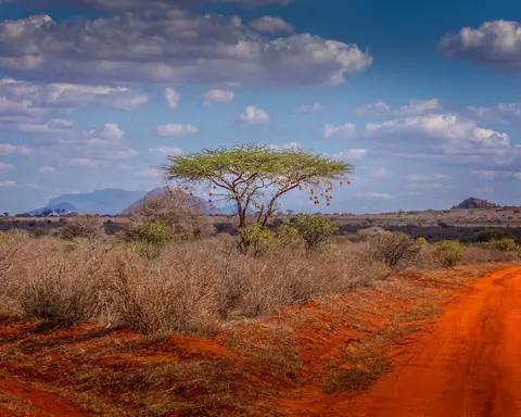 Escapade au Kenya en Safari & Extension à Watamu Beach.