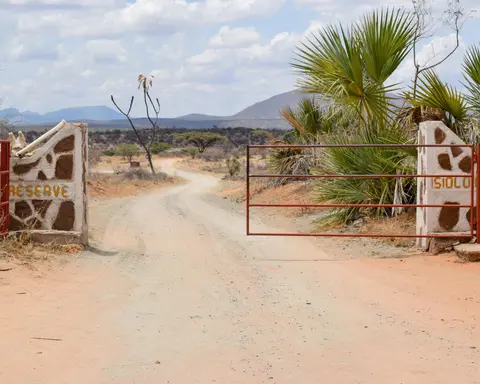 PS - Légendes du Kenya (en 4x4)