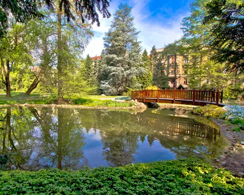 Fiesta Balcánica Fin Bucarest (2025)