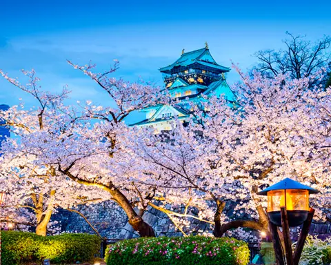 Japan Discovery on a Budget