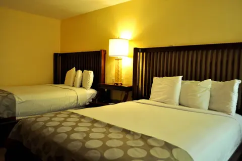 Floridian Express Hotel, Room