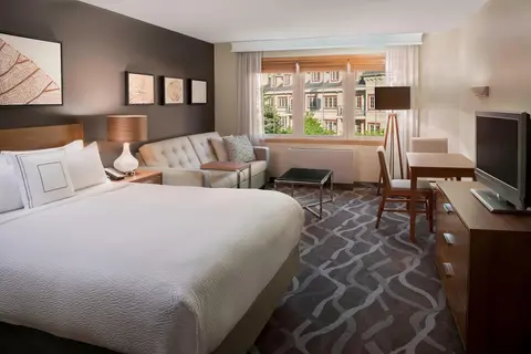 Residence Inn by Marriott Mont Tremblant Manoir Labelle, Room