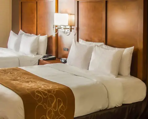 Quality Suites NYC Gateway, Room