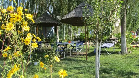 Shine Studios, Garden