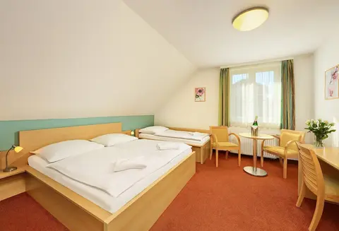 Penzion Krumlov - B&B Hotel, Room