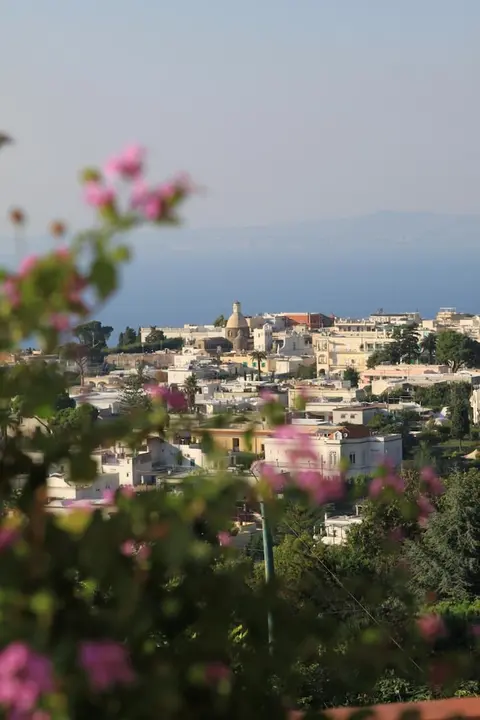 B&B Il Grappolo, Aerial view