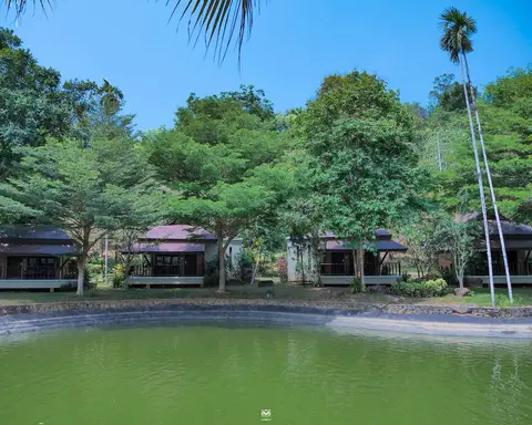 Victoria Cliff Hotel & Resort, Room