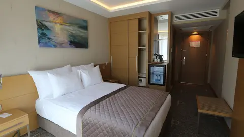 Ramada By Wyndham Bursa Çekirge Thermal & Spa, Room