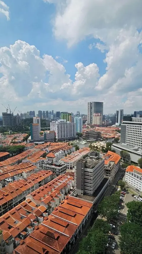 Sofitel Singapore City Centre, View from property